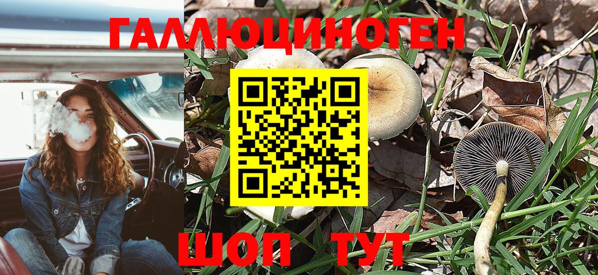 Кашира  Псилоцибиновые грибы Magic Shrooms  Вход с VPN 