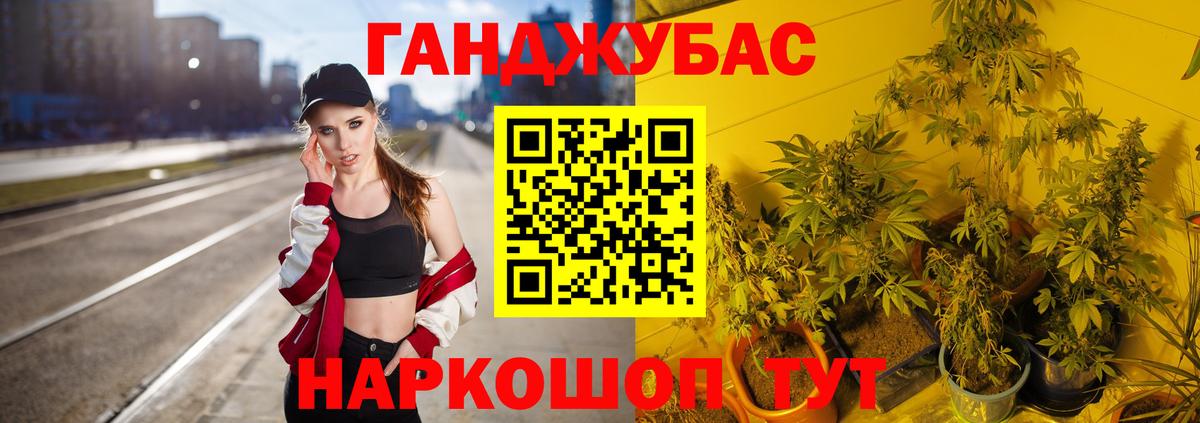 Марихуана марихуана Кашира